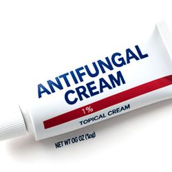 bie3-cola-de-caballo-25-bolsitas