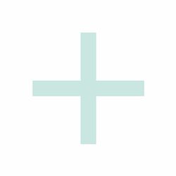 NORMOGINKGO 70 mg COMPRIMIDOS RECUBIERTOS CON PELICULA