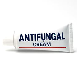 Beter Brocha Yachiyo Colorete Natural Fiber