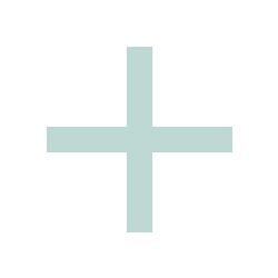 ARKOCAPSULAS GINSENG 300 mg CAPSULAS DURAS