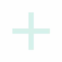 MINOXIDIL BIORGA 20 MG/ML SOLUCION CUTANEA 1 FRASCO 60 ML