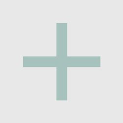 BISOLVON MUCO 600 MG 10 COMPRIMIDOS EFERVESCENTES (BLISTER)